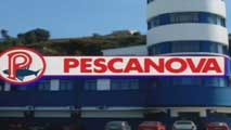 Ir al Video&nbsp;Pescanova solicita el concurso voluntario de acreedores