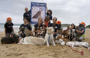Ver v&iacute;deo  'Petici&oacute;n de "El refugio" de zonas acotadas en las playas para perros'