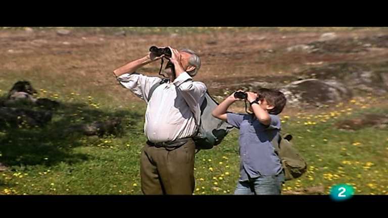 Ojos salvajes - De picos y garras