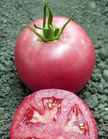 El color que conocemos de los tomates es el rojo, pero los hay verdes, morados e incluso rosas El color que conocemos de los tomates es el rojo, pero los hay verdes, morados e incluso rosas