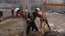 Plan de Recuperaci&oacute;n Ambiental de espacios degradados