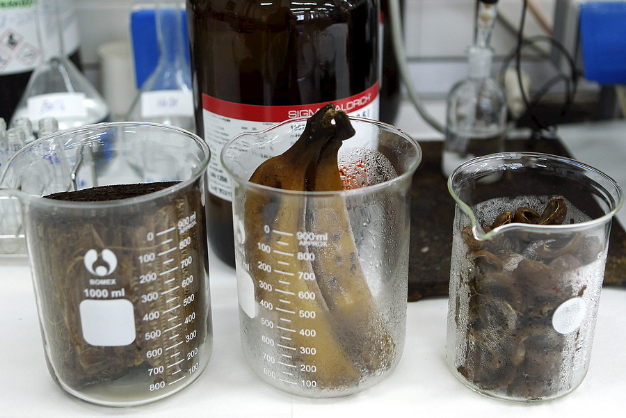 Los pl&aacute;tanos como fuente de energ&iacute;a