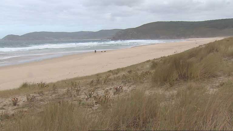 Las playas y la costa gallega afectada por los vertidos del Prestige están recuperadas