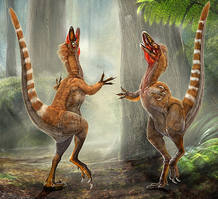 'Nature' acaba de desvelar las tonalidades de las plumas del pequeño 'Sinosauropteryx' 'Nature' acaba de desvelar las tonalidades de las plumas del pequeño 'Sinosauropteryx'