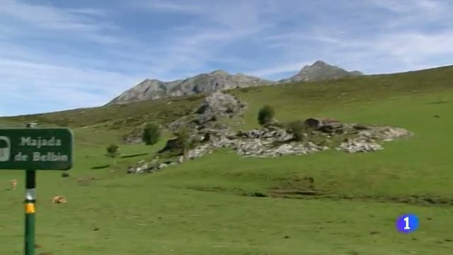 Ir al Video&nbsp;Pol&eacute;mica en Asturias por la matanza de lobos ib&eacute;ricos