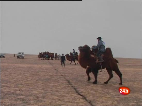 Polo sobre camello, deporte nacional