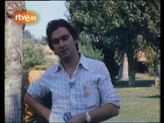 El festival de Woodstock en Popgrama (10&ordm; aniversario)