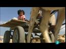 Video: En portada - Los 'Plateros' de Gaza