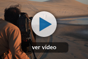 En Portada