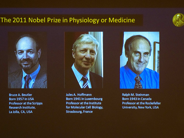 Premio Nobel de Medicina para Beutler, Hoffmann y Steinman por estudios sobre inmunidad