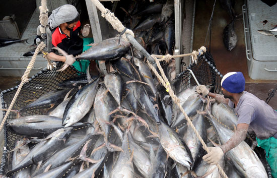 Pescadores espa&ntilde;oles siguen desde las Seychelles la situaci&oacute;n del Alakrana