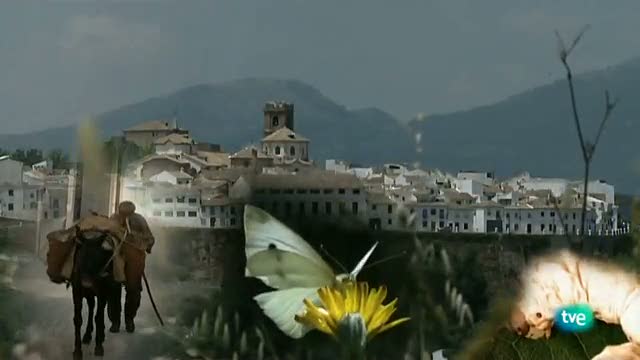 Priego a trav&eacute;s de las mariposas