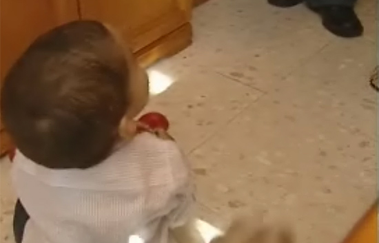 Ver v&iacute;deo  'El primer beb&eacute; medicamento espa&ntilde;ol cumple un a&ntilde;o'