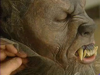 Ver v&iacute;deo  'Primeras im&aacute;genes de los maquillajes de 'Lobos de Arga''