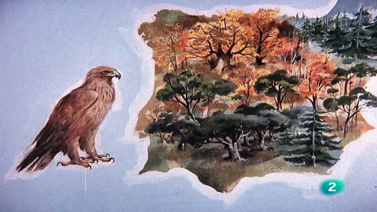 El hombre y la Tierra (Fauna ib&eacute;rica) - Prisioneros del bosque, 1