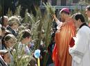 PROCESI&Oacute;N DEL DOMINGO DE RAMOS
