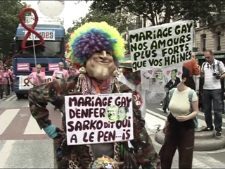 Ver v&iacute;deo  'La prohibici&oacute;n del matrimonio homosexual no es contraria a la Constituci&oacute;n Francesa'