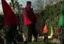 Ir al Video&nbsp;Promo de los Goya en TVE (III): Los Goya de jard&iacute;n de Amen&aacute;bar