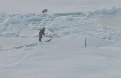 Ver v&iacute;deo  'Prosigue la matanza de focas en Canad&aacute;'