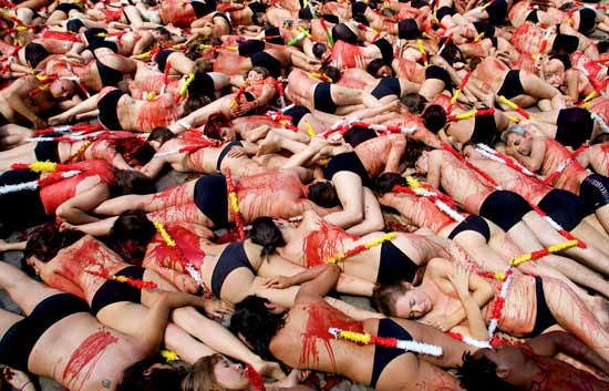 Protesta contra el trato a los toros en San Ferm�n