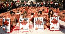 PROTESTA MATANZA FOCAS