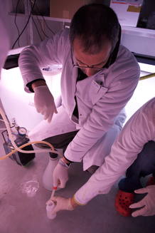 Proyecto ATP en el &Aacute;rtico