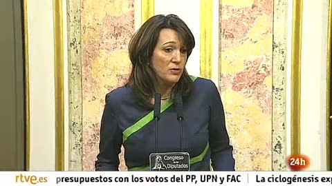 Ver v&iacute;deo  'El PSOE pide al Gobierno que no use su mayor&iacute;a como "excusa" para no dialogar sobre los PGE'