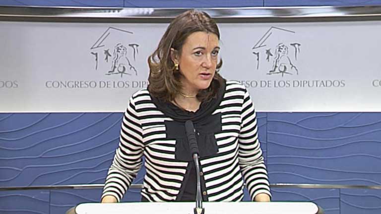 El PSOE acusa al gobierno de aprobar la Amnist&iacute;a Fiscal para ayudar a los defraudadores
