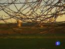 Ir al Video&nbsp;El PSOE recurrir&aacute; la instalaci&oacute;n del almac&eacute;n nuclear en Villar de Ca&ntilde;as