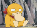Imagen del  v&iacute;deo de Pok&eacute;mon Advanced Battle titulado UN PSYDUCK DE LUJO