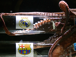 Ver v&iacute;deo  'El pulpo vuelve a dar como favorito al Madrid'