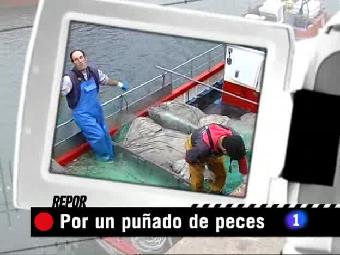 Repor - Por un pu&ntilde;ado de peces