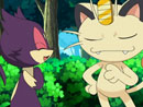 Imagen del  v&iacute;deo de Pok&eacute;mon Negro y Blanco titulado PURRLOIN, &iquest;DULCE O MALICIOSO?