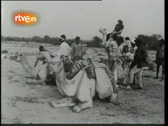 Im&aacute;genes de Miguel de la Quadra junto a la guerrilla eritrea en 1975