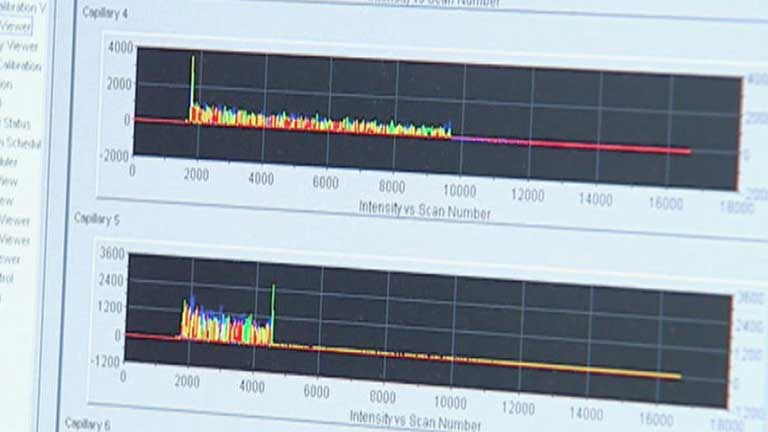 Detenidos dos gemelos por varios casos de violaciones y abusos sexuales