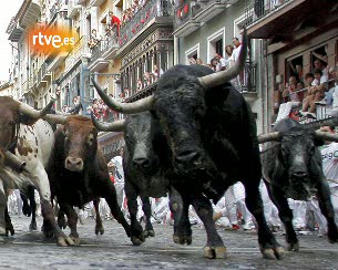 Ver v&iacute;deo  'Quinto encierro 2010, por Patxi Cervantes'