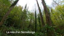 racons-pgm21-la-selva---1