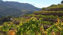 Racons - El Priorat 2