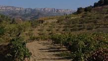Racons - El Priorat 4