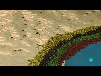 Las riberas del mar oc&eacute;ano - Ramblas y deltas