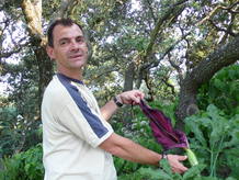 Ramon G&oacute;mez Fern&aacute;ndez