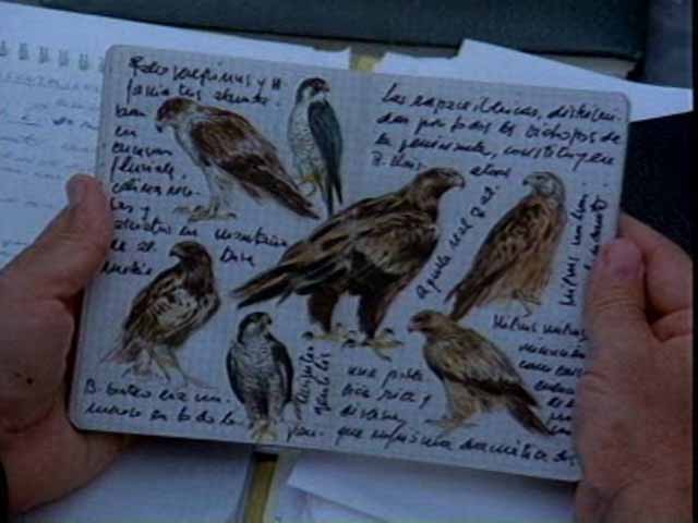 El hombre y la tierra - Las rapaces ib&eacute;ricas diurnas
