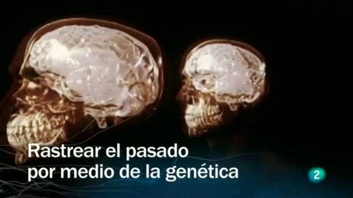 Redes - Rastrear el pasado por medio de la gen&eacute;tica