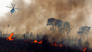 Ver v&iacute;deo  'Reanudan la b&uacute;squeda del piloto del helic&oacute;ptero desaparecido en el incendio de Valencia'