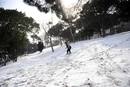 Recep Demi, de 56 a&ntilde;os, esqu&iacute;a en un parque de Estambul, donde la nieve ha paralizado el tr&aacute;fico y las comunicaciones.