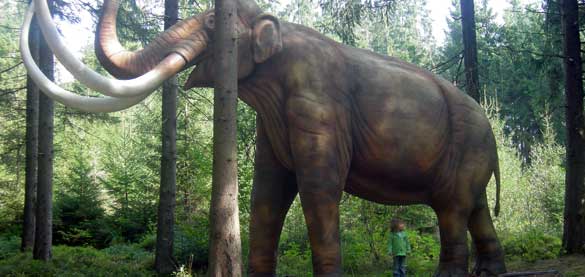 Reconstrucci&oacute;n a tama&ntilde;o real de un mamut