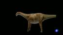 Ir al Video&nbsp;Reconstrucci&oacute;n en tres dimensiones del cerebro de un dinosaurio