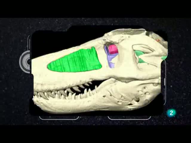tres14  - Reconstrucci&oacute;n