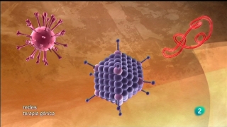 Ver v&iacute;deo  'Redes - Genes en lugar de f&aacute;rmacos'