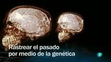 Redes - Rastrear el pasado por medio de la gen&eacute;tica - Ver ahora
